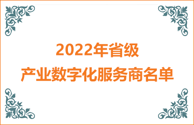 2022年省級(jí)產(chǎn)業(yè)數(shù)字化服務(wù)商